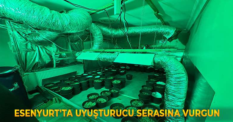 Esenyurt'ta Uyuşturucu Serasına Vurgun