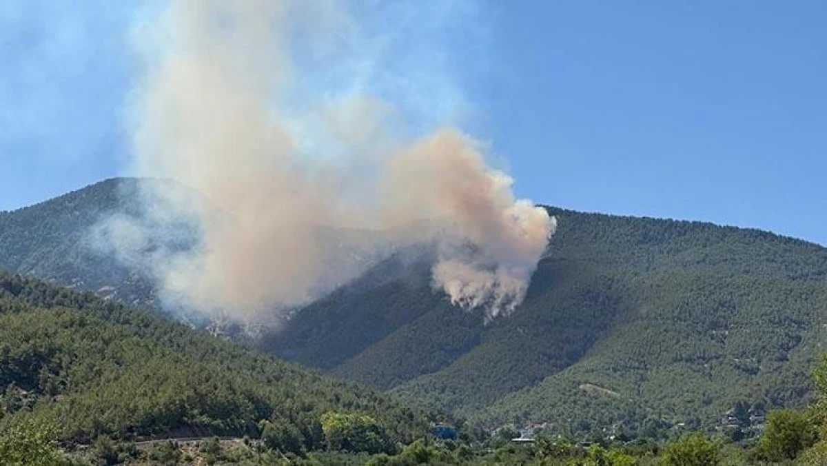 Hatay Hassa’da orman yangını: Karadan müdahale sürüyor