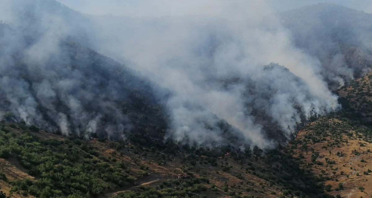 Kahramanmaraş’ta orman yangını sürüyor