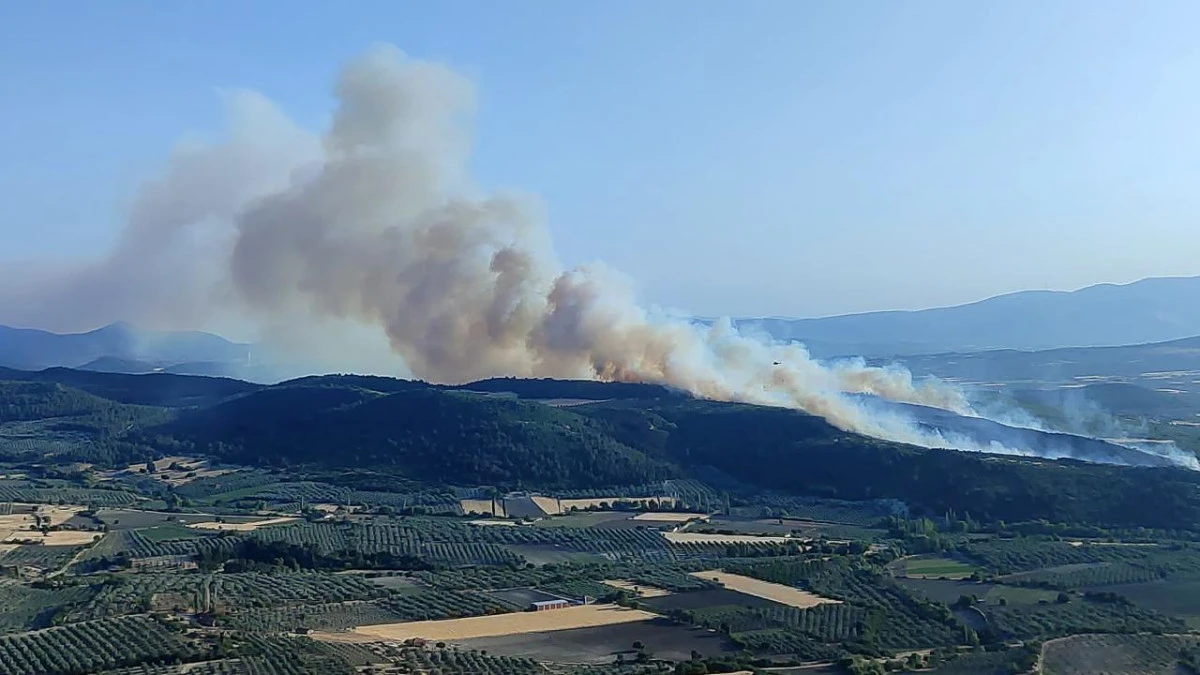Manisa’nın Kırkağaç ilçesinde yangın: Havadan ve karadan müdahale