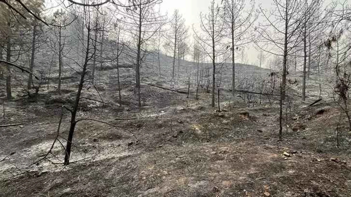Sakarya Geyve’de Yangınlar Söndürüldü, Bayat’ta Kısmen Kontrol Altında