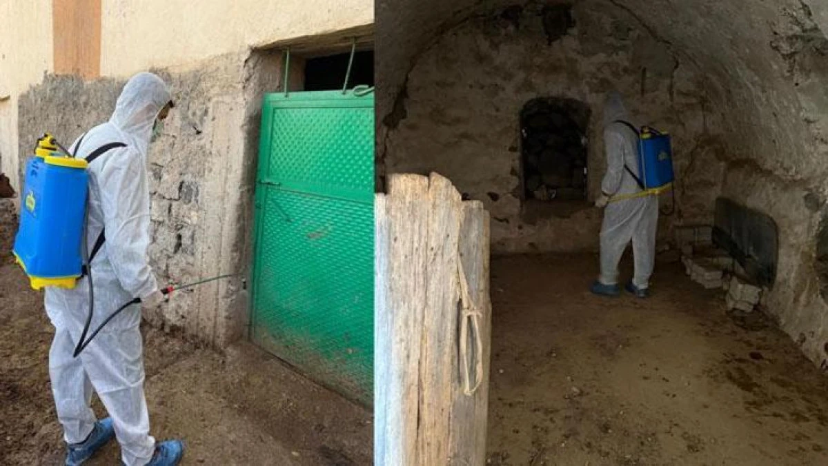 Şırnak’ta Şap Hastalığı Görülen Köyde Hayvan Giriş Çıkışı Yasaklandı