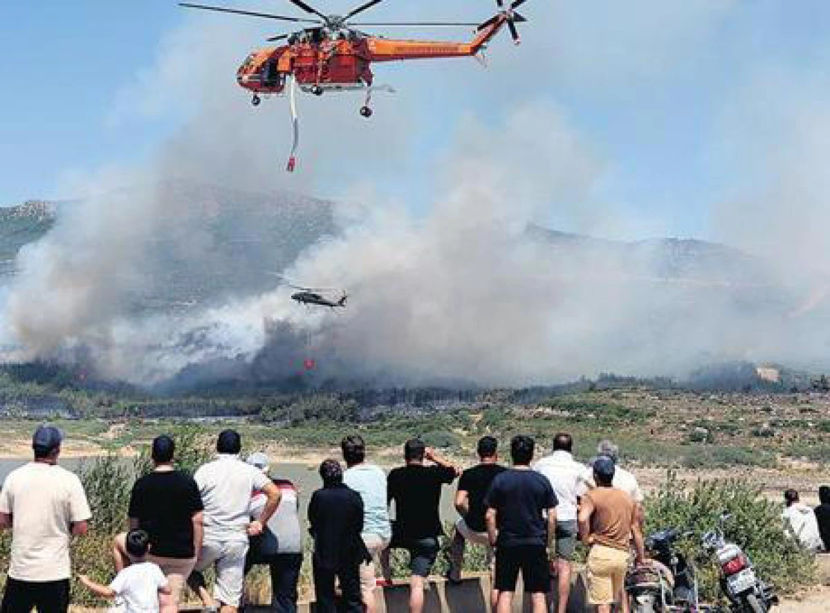 Yeşil Vatan’ın Belalısı: Sigara İzmariti